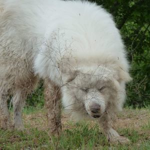 Meet your Posher, Lee